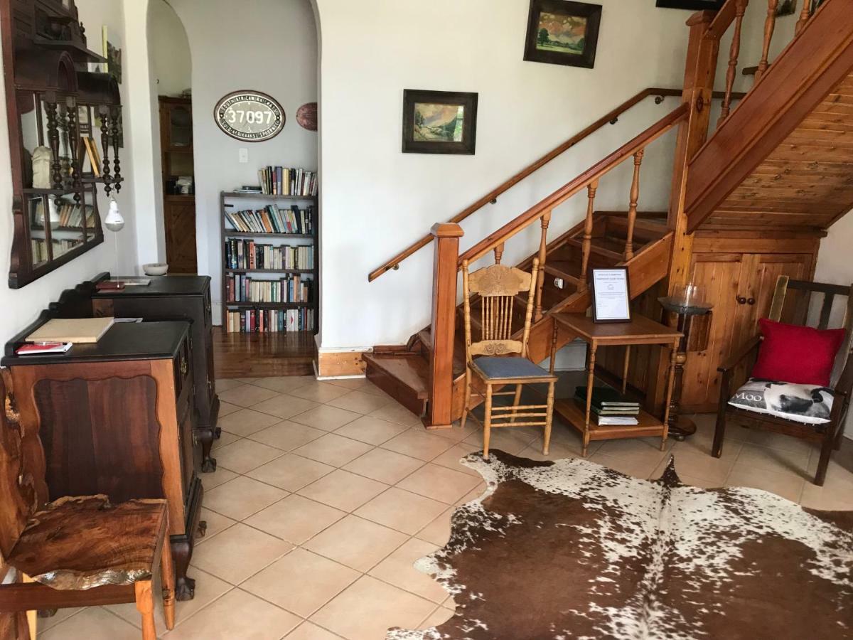 Towerzicht Guest House لاديسميث المظهر الخارجي الصورة